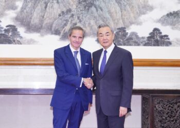 Chinese FM meets IAEA Director General