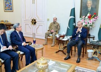 Ambassador Jiang Zaidong calls on Prime Minister