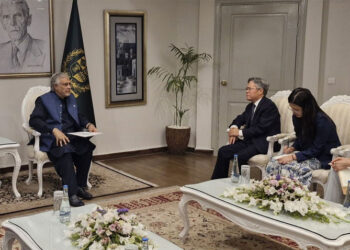 DPM Ishaq Dar, Chinese Ambassador discuss regional security