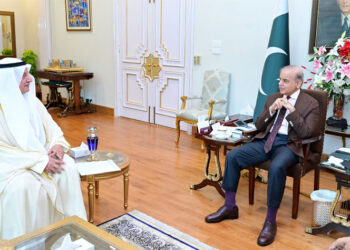 PM Shehbaz emphasizes Pakistan’s commitment to regional peace