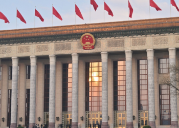 China releases white paper on modern national security