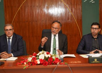 Ahsan Iqbal urges direct trade routes with Central Asia