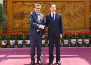 China’s vice FM meets Pakistani ambassador
