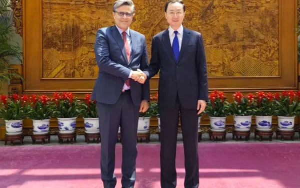 China’s vice FM meets Pakistani ambassador