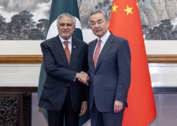 Wang Yi Holds Talks with Pakistani Deputy Prime Minister and Foreign Minister Mohammad Ishaq Dar