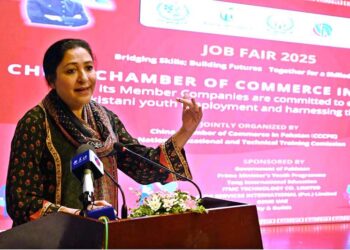 Employment opportunities from China to empower Pakistani youth: Minister