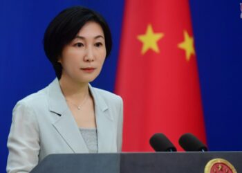 Chinese FM addresses Indian military’s claim of providing air defense support to Pakistan