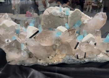 Pakistani gems shine at China Nanjing Expo 2025
