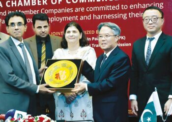 Chinese companies pledge prosperous future for Pakistani youth: Ambassador Jiang