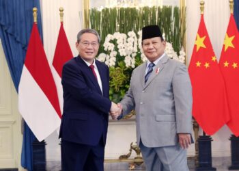 China, Indonesia to deepen ties, honor Bandung Spirit