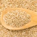 Pakistan sesame exports to China soar 337%