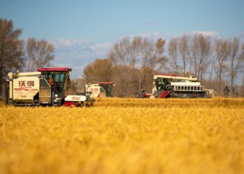 China’s technological advancement in agricultural modernization