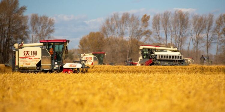 China’s technological advancement in agricultural modernization