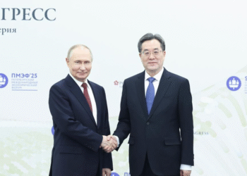 Chinese vice premier meets Russian President Putin