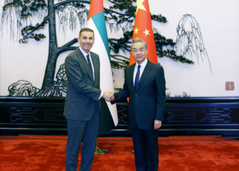China, UAE strengthen strategic partnership