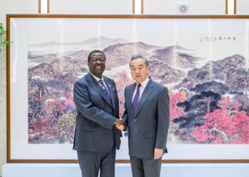 Wang Yi meets with African foreign ministers