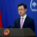 China welcomes Vietnam as BRICS partner country, FM spokesperson