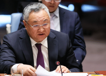 China welcomes immediate ceasefire in Gaza at UNGA
