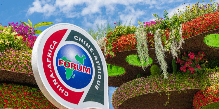 Xi, Sassou extend congratulations to FOCAC Coordinators' Meeting