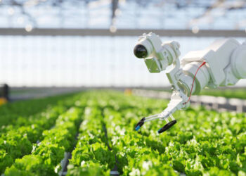 China harnesses AI for climate-smart agriculture