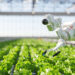 China harnesses AI for climate-smart agriculture