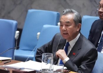 Chinese FM calls for more success stories in China-Africa cooperation