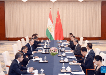 Chinese FM meets Tajik counterpart