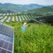 China leads in global renewable energy growth