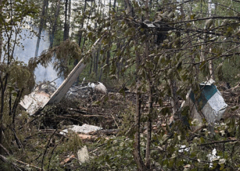 Xi extends condolences to Putin after Russian Plane Crash