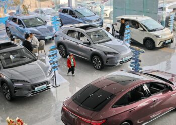 Chinese Premier holds meeting to review NEV sector regulation