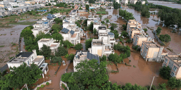 Xi urges swift action and response to floods