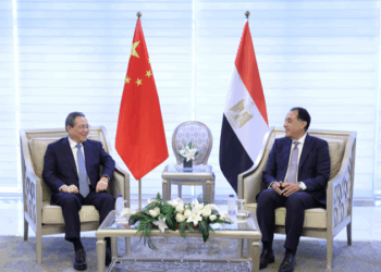 China to work with Egypt for economic globalization