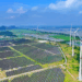 China, EU Boost Green Investment Through Industry