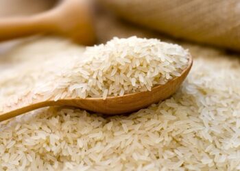 Pakistan’s rice exports to China hit $36M in first half of 2025