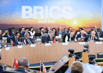 Chinese Premier urges BRICS unity for open economy