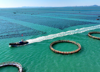 Xi urges unified market, marine economy growth