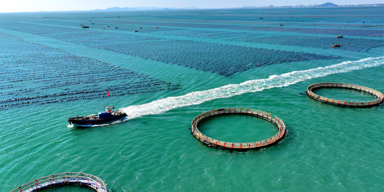 Xi urges unified market, marine economy growth