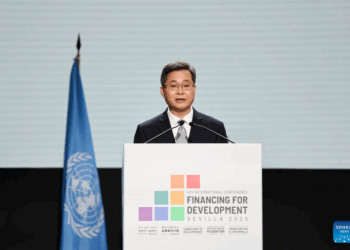 China urges global unity on development financing