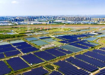 SCO Summit 2025 highlights China’s green cooperation