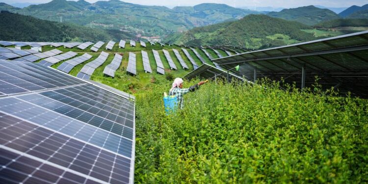 China’s Renewables Dominate 2025 Capacity