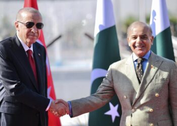 Erdogan Condoles Flood Losses in Call to Shehbaz
