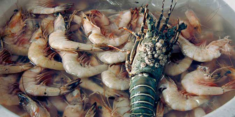 Pakistan Secures US Seafood Export Approval 2025