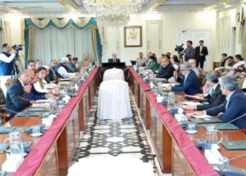 PM Shehbaz Pushes Cashless Economy with Raast