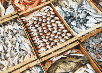 Pakistan Sees 27% Jump in Fish Meal Exports to China in H1 2025