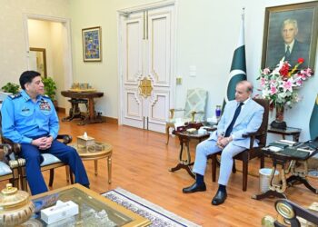 PM Shehbaz Praises PAF Role in National Defence