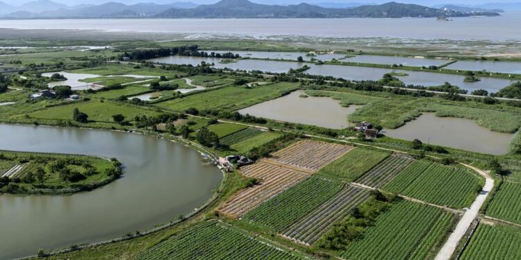 China Builds Global Model to Track Wetland Carbon Trends