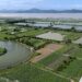 China Builds Global Model to Track Wetland Carbon Trends