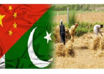 UAF, NWAFU Strengthen China-Pakistan Agricultural Cooperation