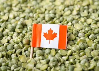 China Launches Anti-Dumping Probes on Canadian Imports