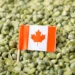China Launches Anti-Dumping Probes on Canadian Imports
